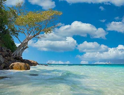 Redesign from elite visa program Thailand by October 2023
